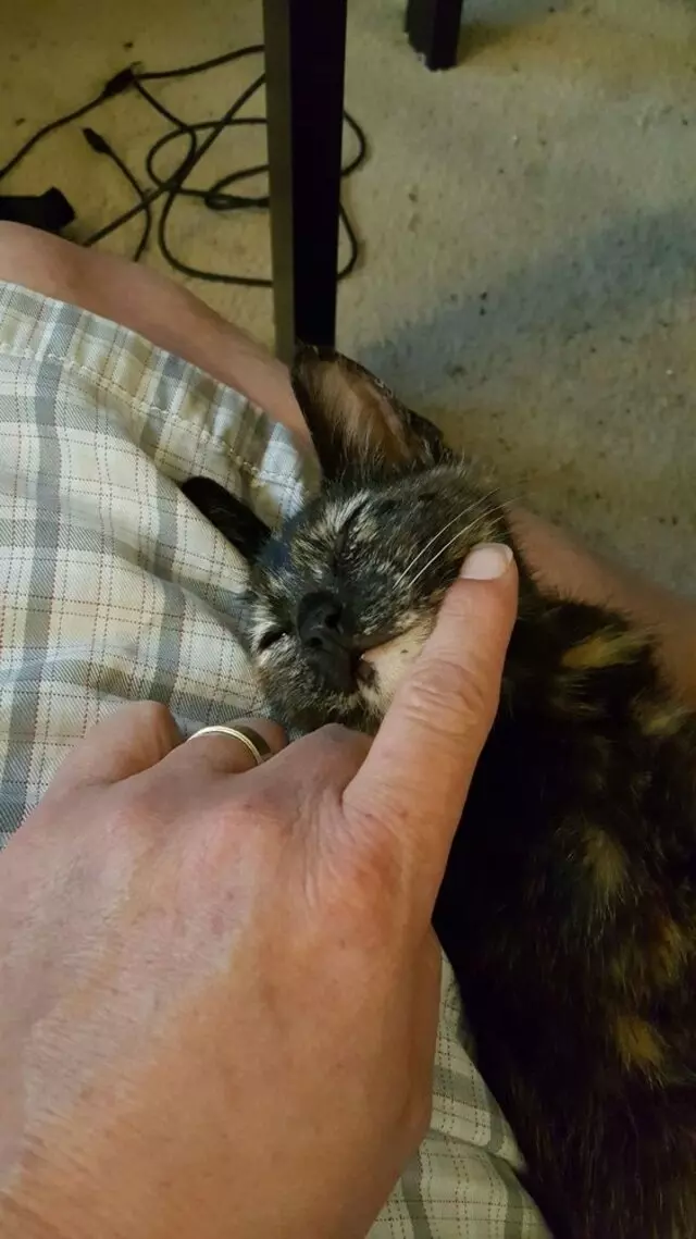Austin Humane Society