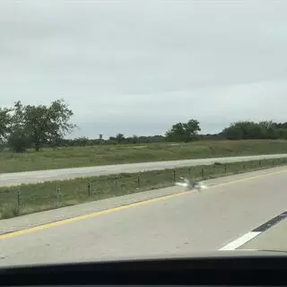 ATX Imperial Auto Glass