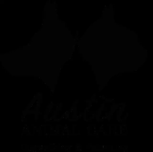 Austin Animal Care