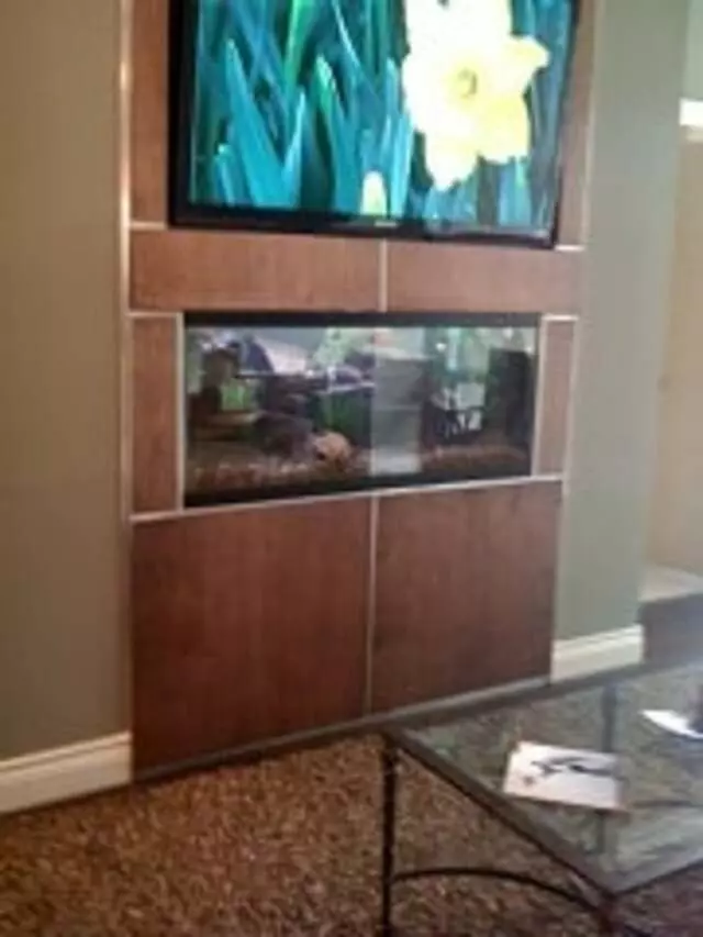 Austin Aquascapes LLC