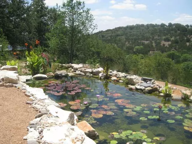 Austin Aquascapes LLC
