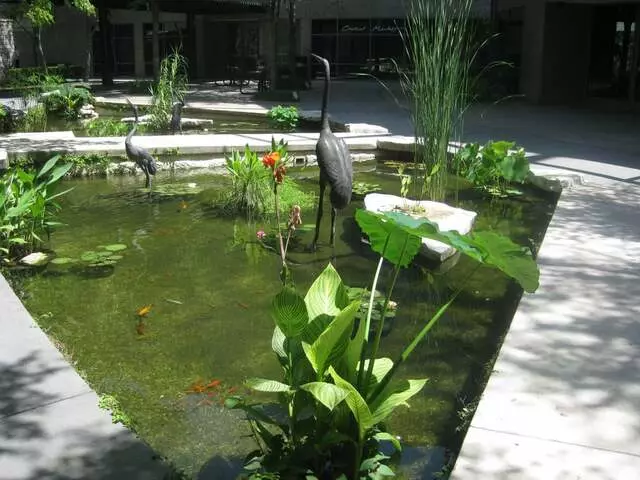 Austin Aquascapes LLC