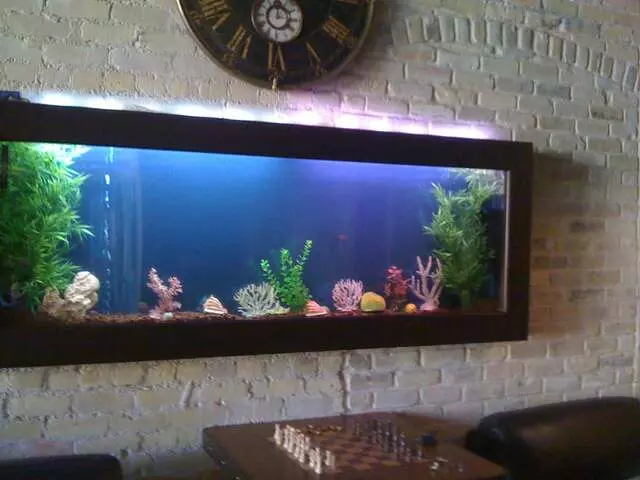Austin Aquascapes LLC