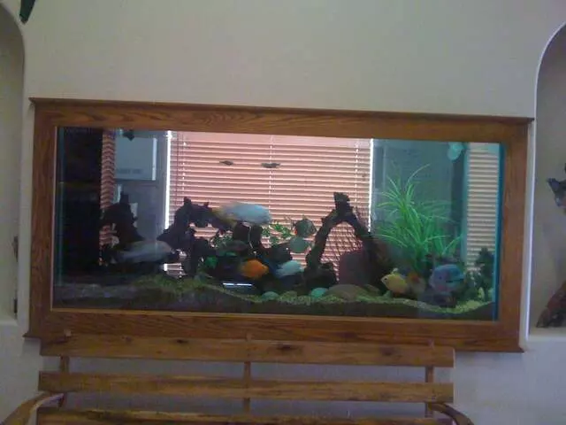 Austin Aquascapes LLC