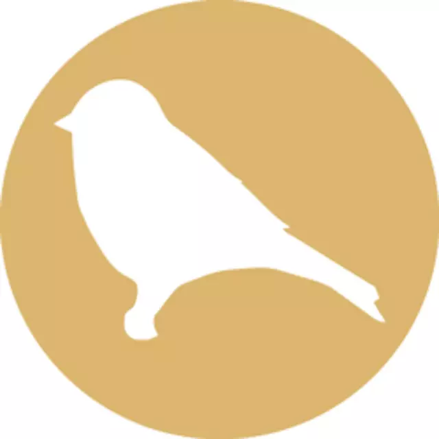 Austin Mustard Seed