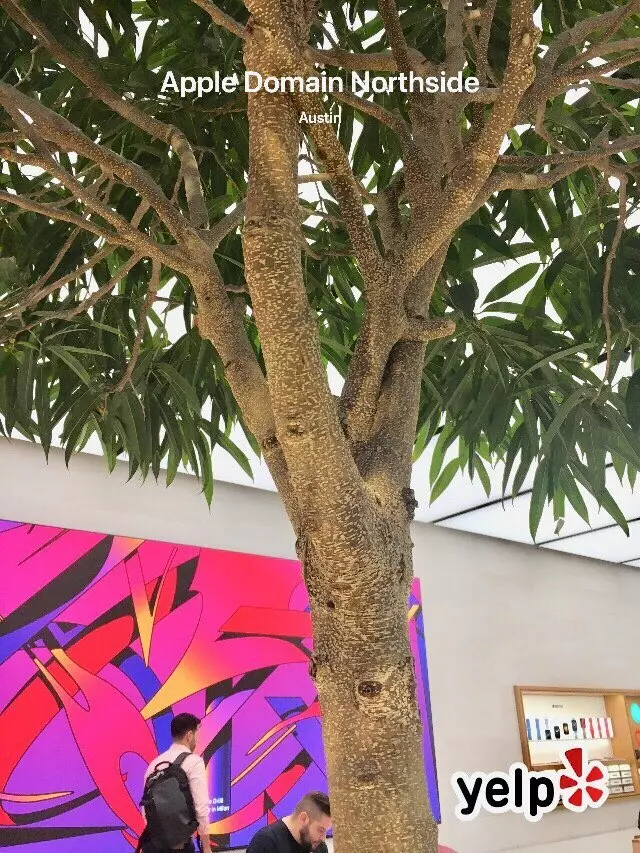 Apple Domain Northside