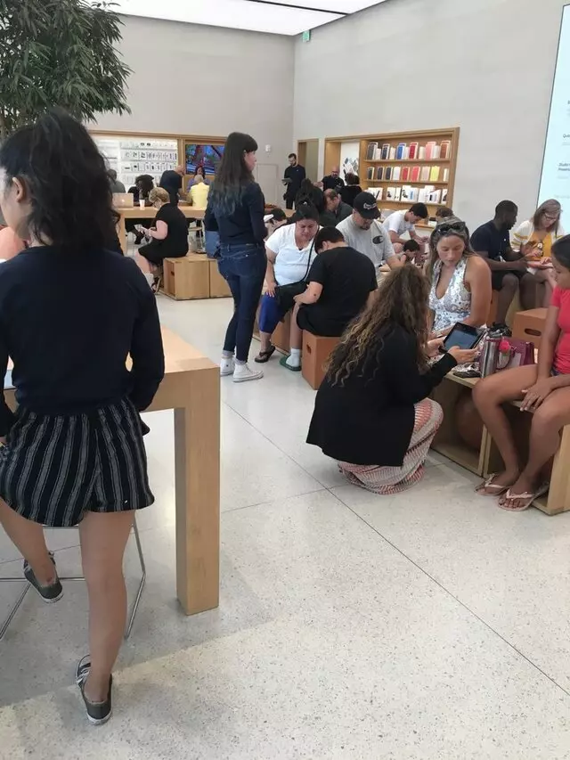 Apple Domain Northside