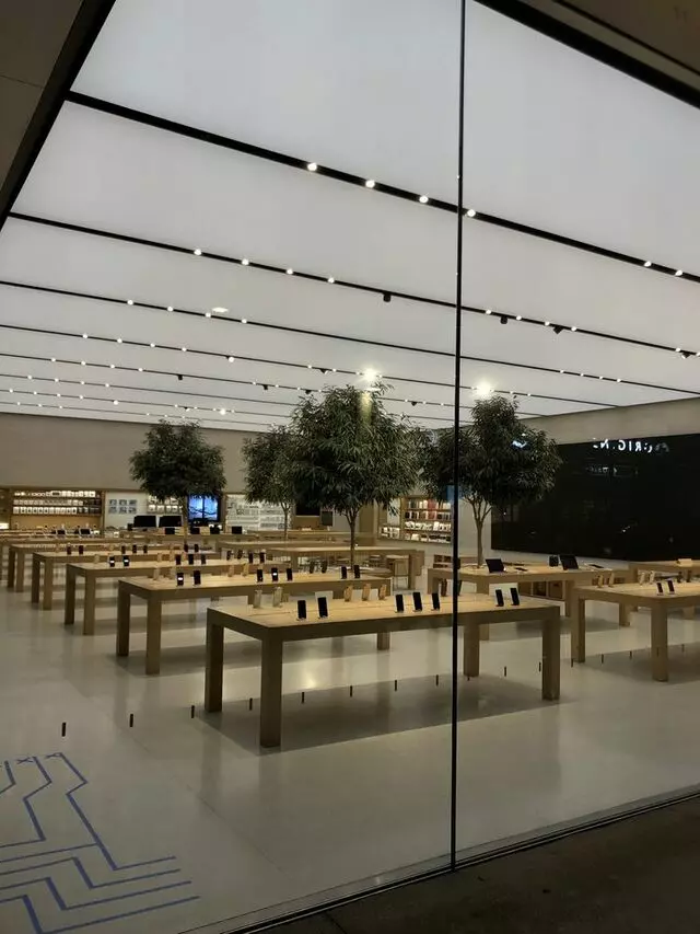 Apple Domain Northside