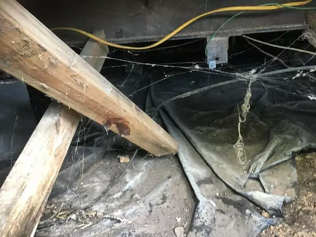 Austin Inspection Services