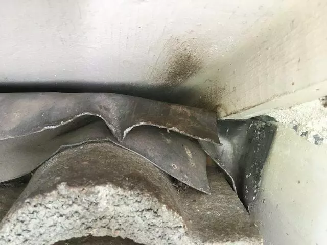 Austin Rat Removal and Control