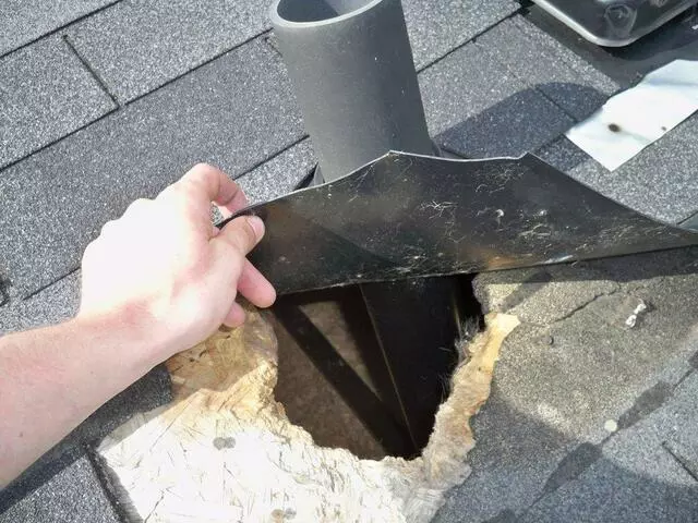 Austin Rat Removal and Control