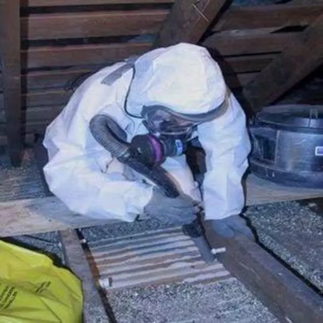 Austin Rat Removal and Control