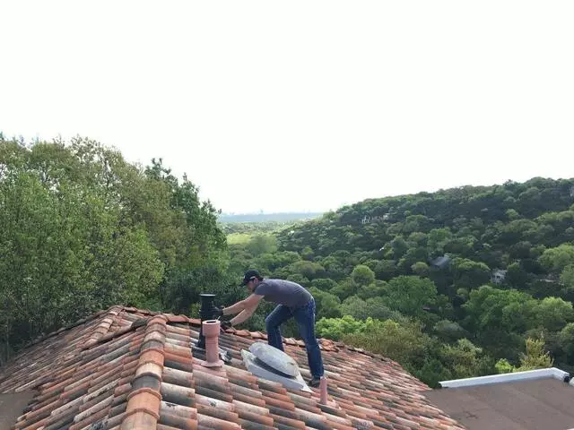 Austin Rat Removal and Control