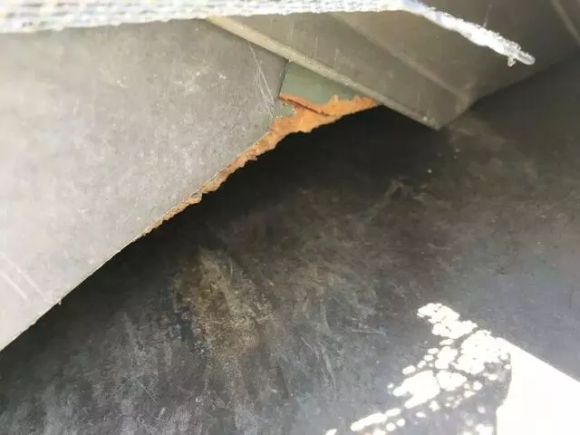 Austin Rat Removal and Control