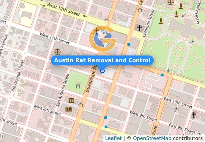 Austin Rat Removal and Control