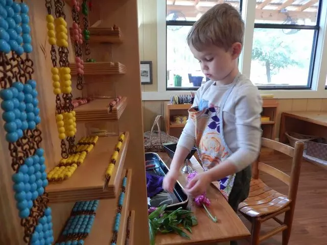 Austin Montessori School