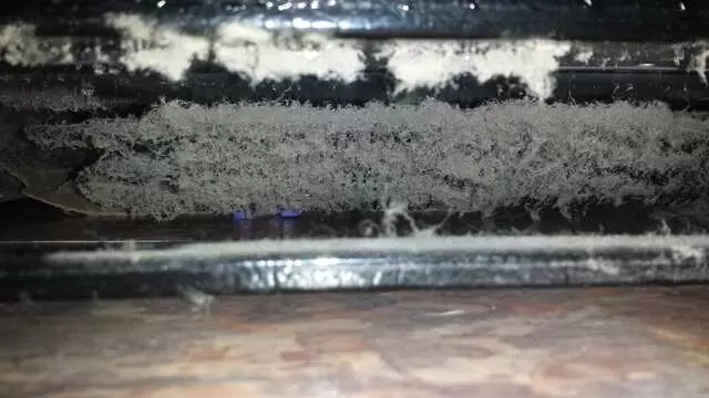 Austonian Appliance