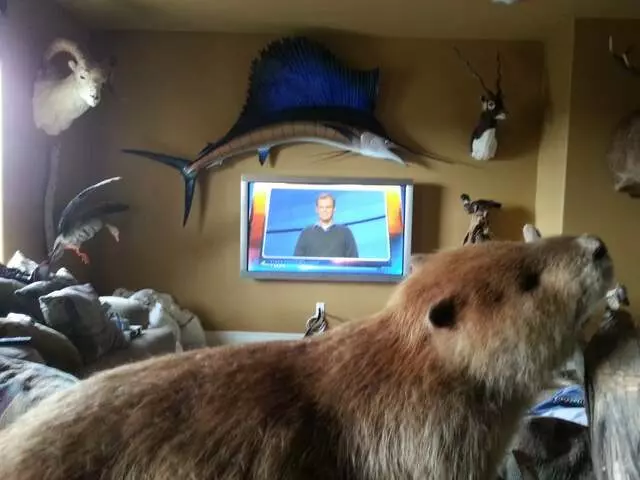 A&B TV