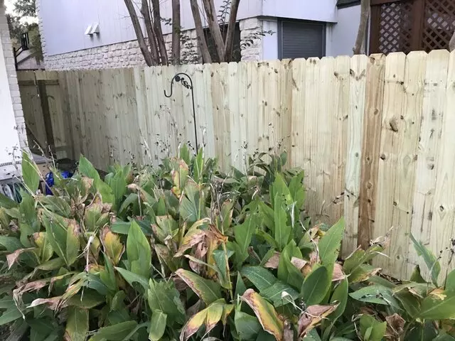 Austate Fence and Deck