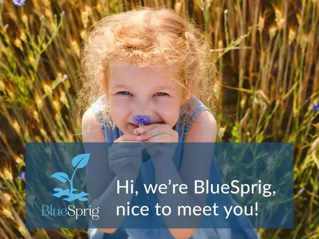BlueSprig Austin North