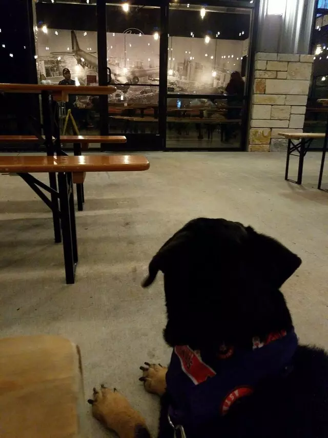 Aviator Pizza & Drafthouse
