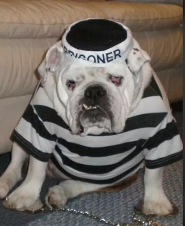 Austin Bail Bonds II