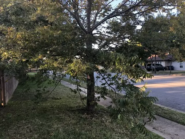 Austins Lawn Enforcement