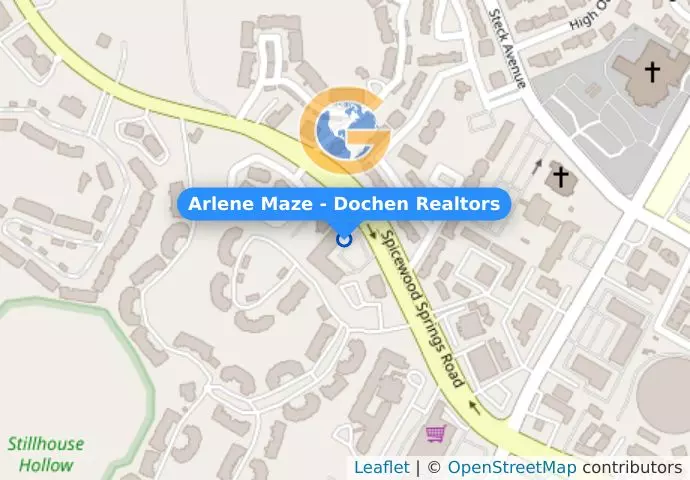 Arlene Maze - Dochen Realtors