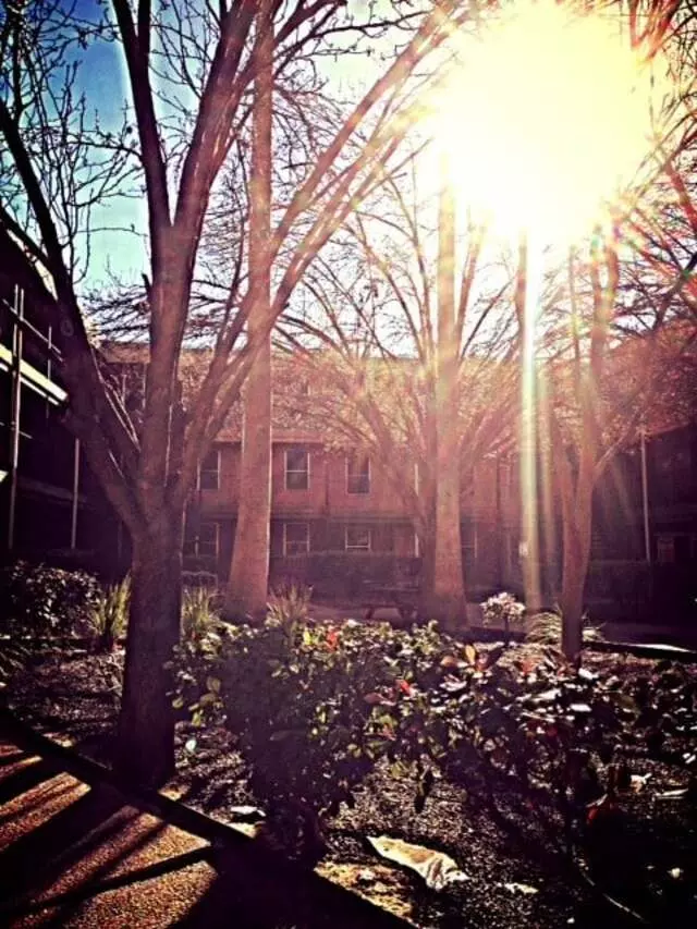 Andrews Place Apartments