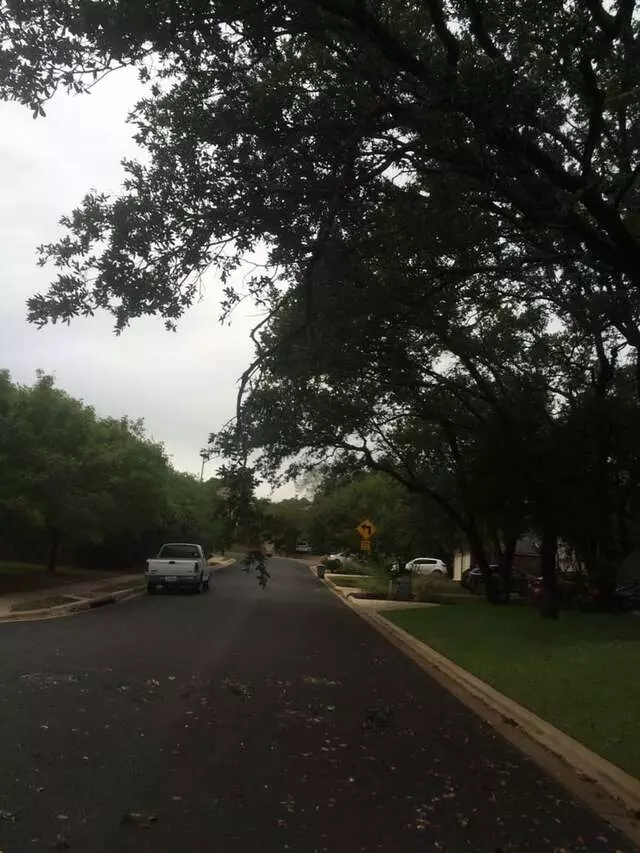 Austin 311