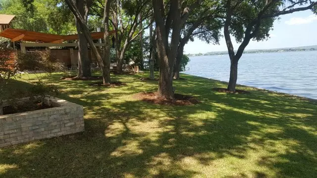 ATX Tree Guy