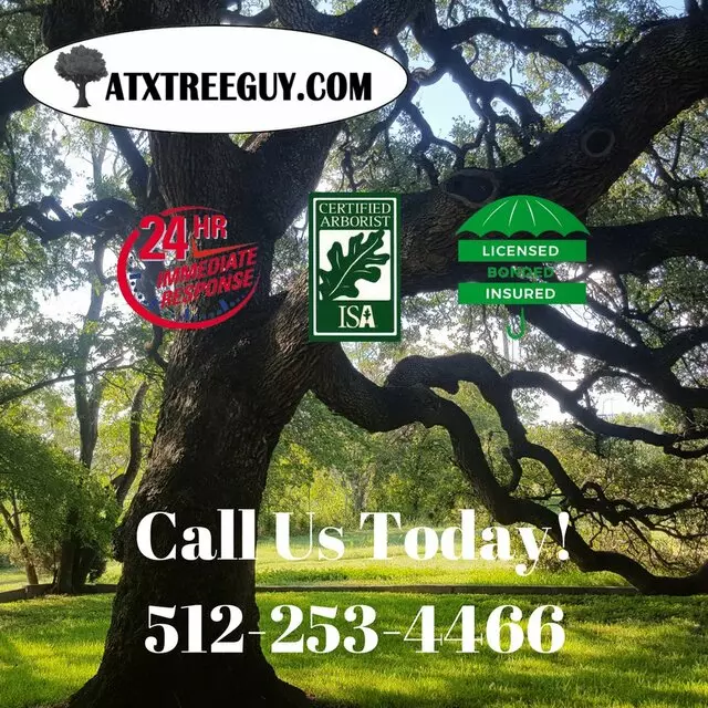 ATX Tree Guy