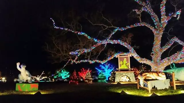 Austin Trail of Lights