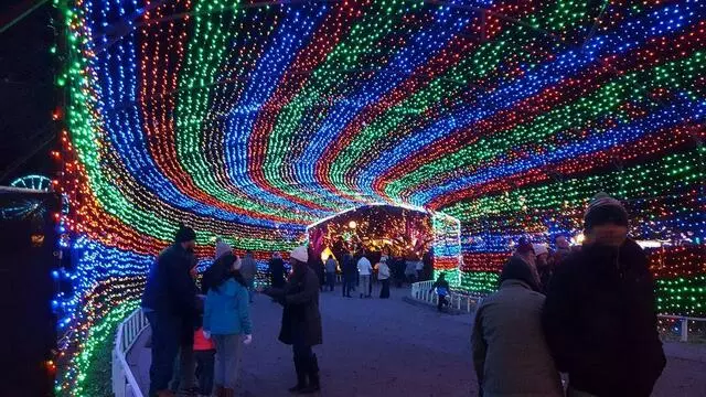 Austin Trail of Lights