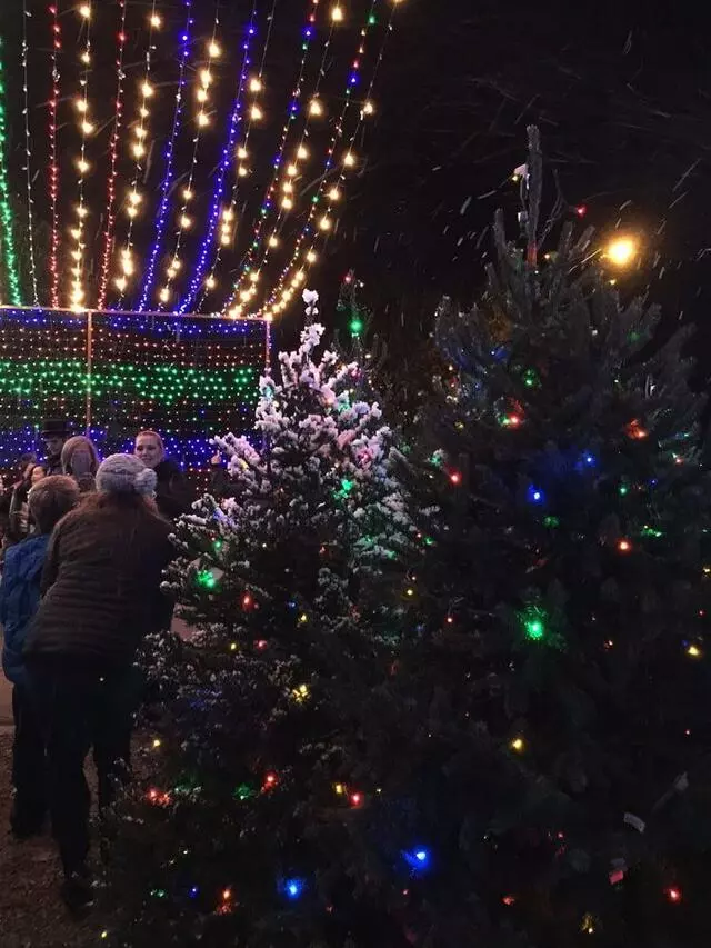 Austin Trail of Lights