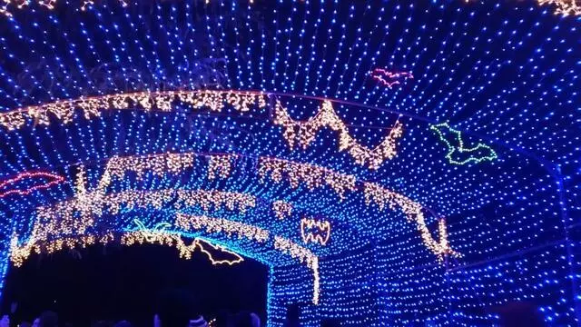 Austin Trail of Lights