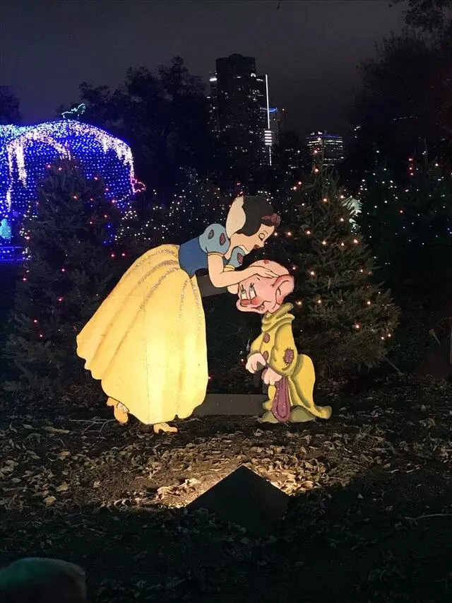 Austin Trail of Lights
