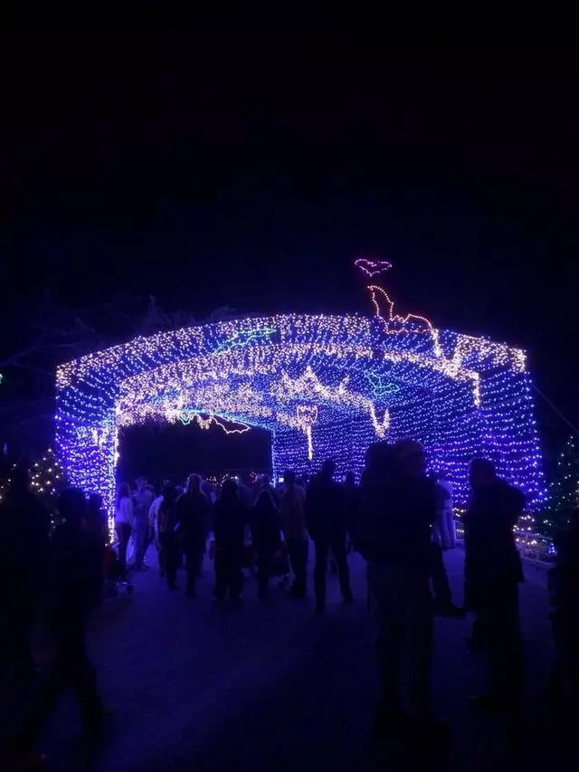 Austin Trail of Lights