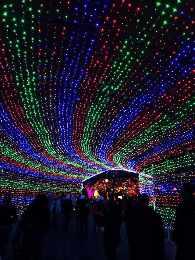 Austin Trail of Lights