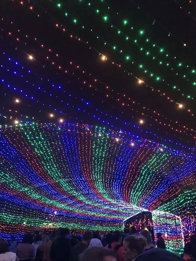 Austin Trail of Lights