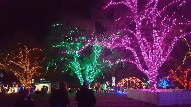 Austin Trail of Lights