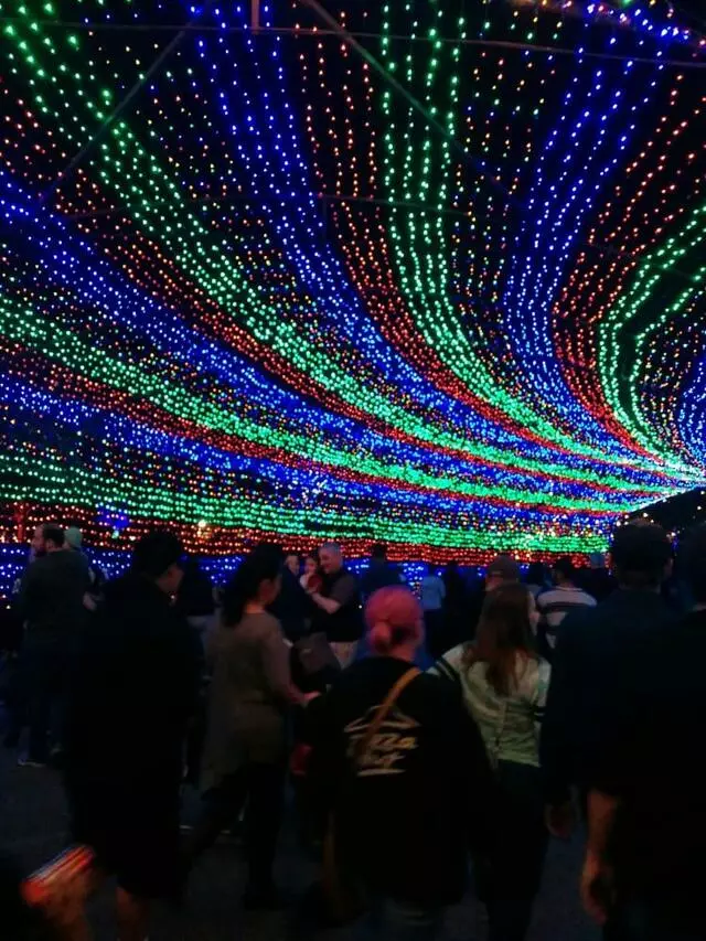 Austin Trail of Lights
