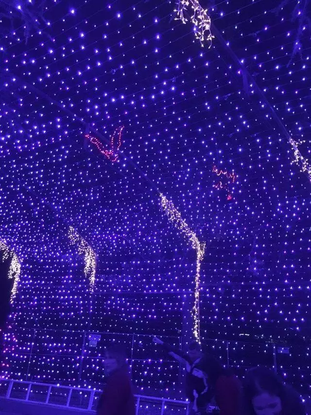 Austin Trail of Lights