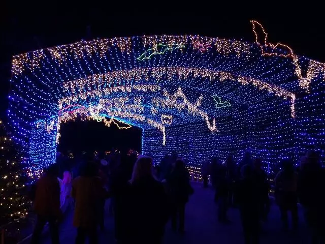 Austin Trail of Lights