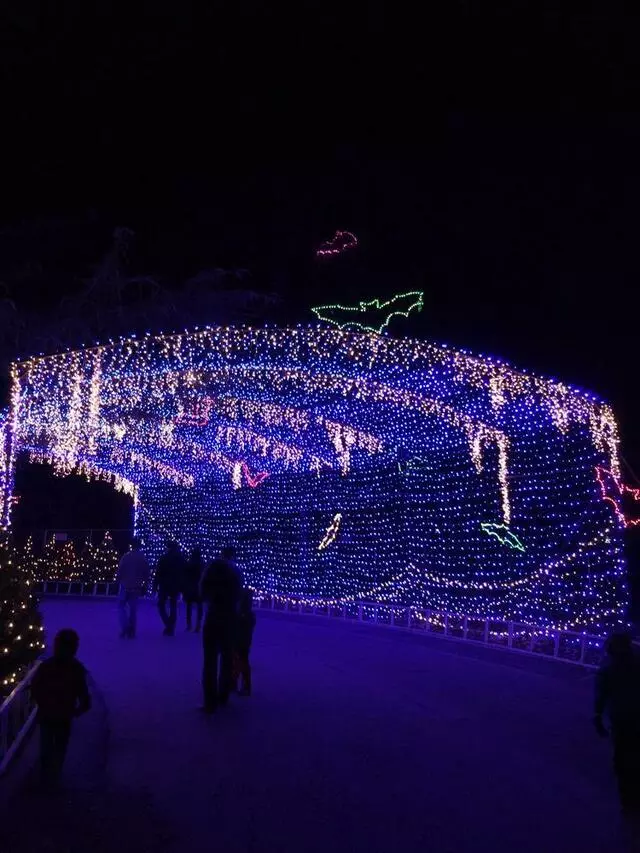 Austin Trail of Lights