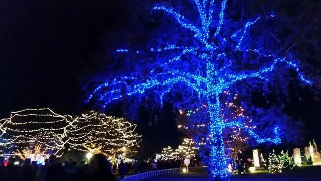 Austin Trail of Lights