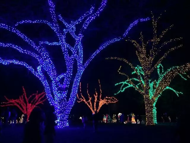 Austin Trail of Lights