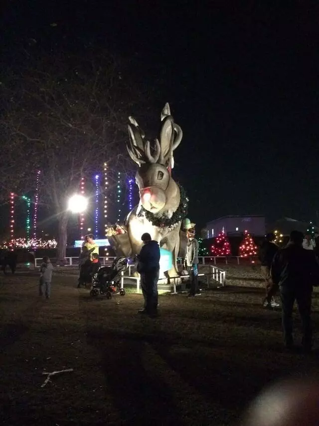 Austin Trail of Lights