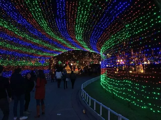 Austin Trail of Lights