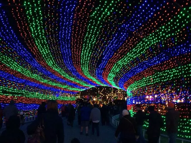 Austin Trail of Lights